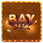 bay247x 500x500 1